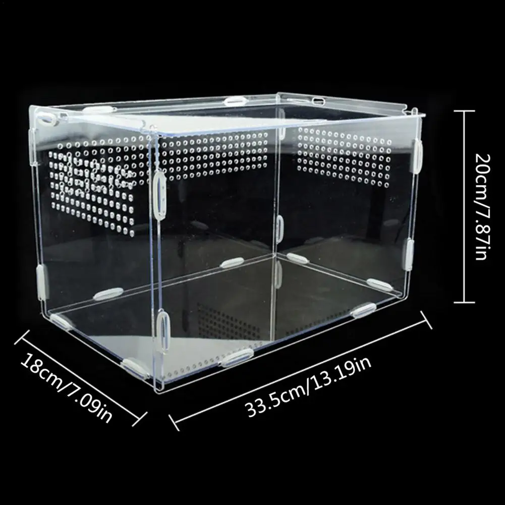 Reptile Breeding Box Acrylic Feeding Box For Spider Lizard Frog Cricket Turtle Ornamental Box Acrylic Feeding Transparent Box
Reptile Breeding Box Acrylic Feeding Box For Spider Lizard Frog Cricket Turtle Ornamental Box Acrylic Feeding Transparent Box