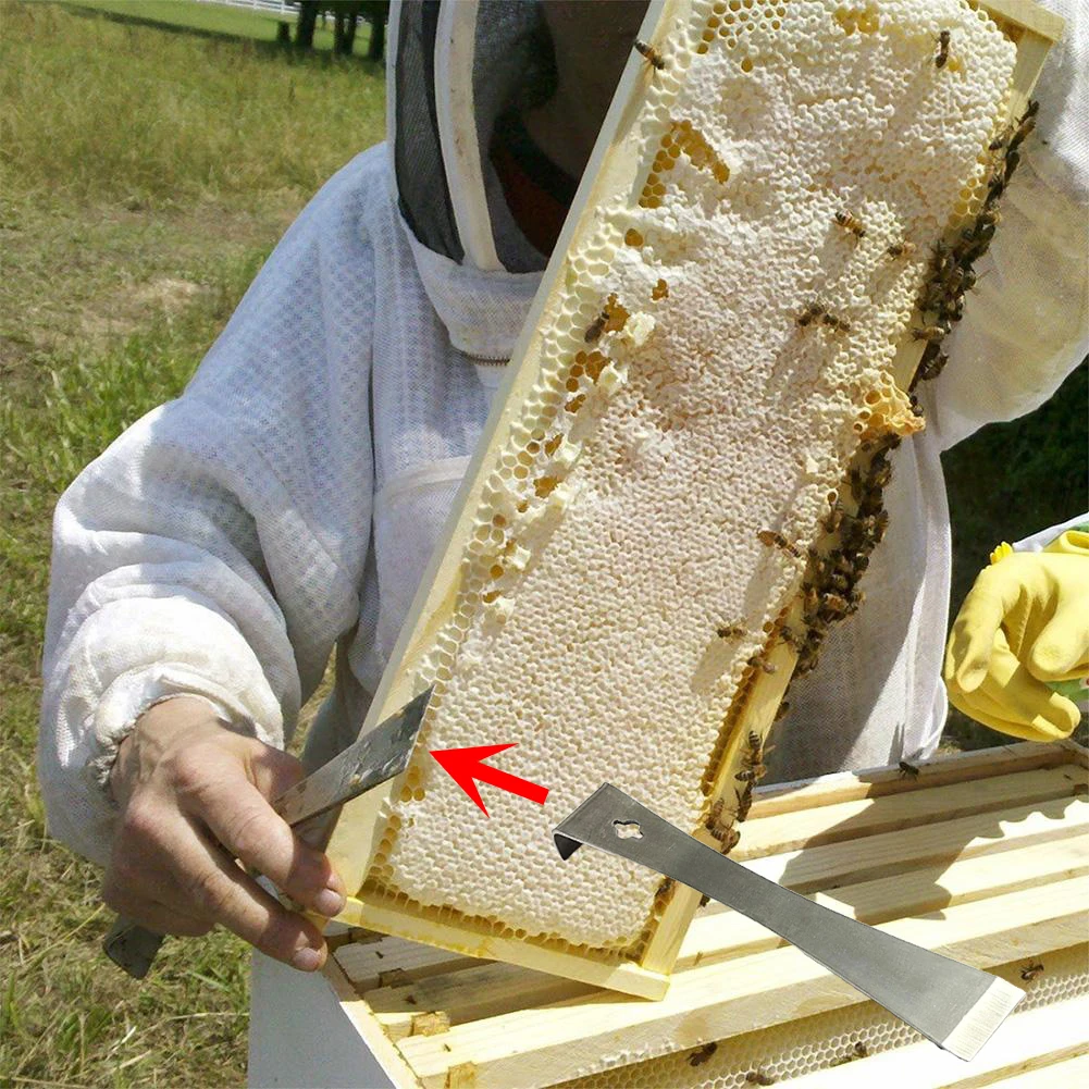 8 in 1 Stainless Steel Beekeeping Bee Hive Smoker Kit Heat Shield Protection Scraper Equipment Tools Set Apiculture Accessories
8 in 1 Stainless Steel Beekeeping Bee Hive Smoker Kit Heat Shield Protection Scraper Equipment Tools Set Apiculture Accessories