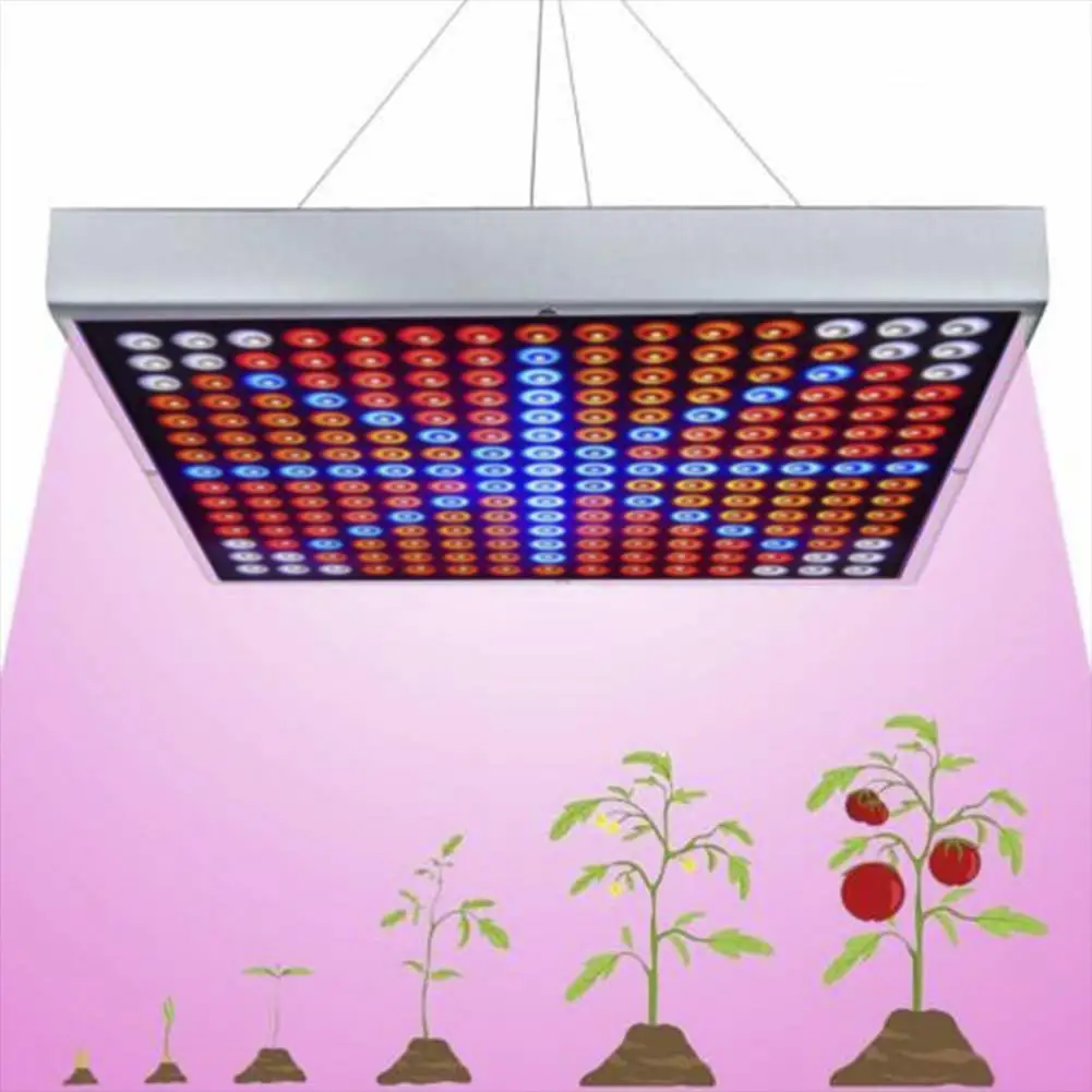 225 LED Full Spectrum LED Grow Light Panel For Medicinal Plant Veg Bloom High Performance For Greenhouse Farm Vegetables Light
225 LED Full Spectrum LED Grow Light Panel For Medicinal Plant Veg Bloom High Performance For Greenhouse Farm Vegetables Light