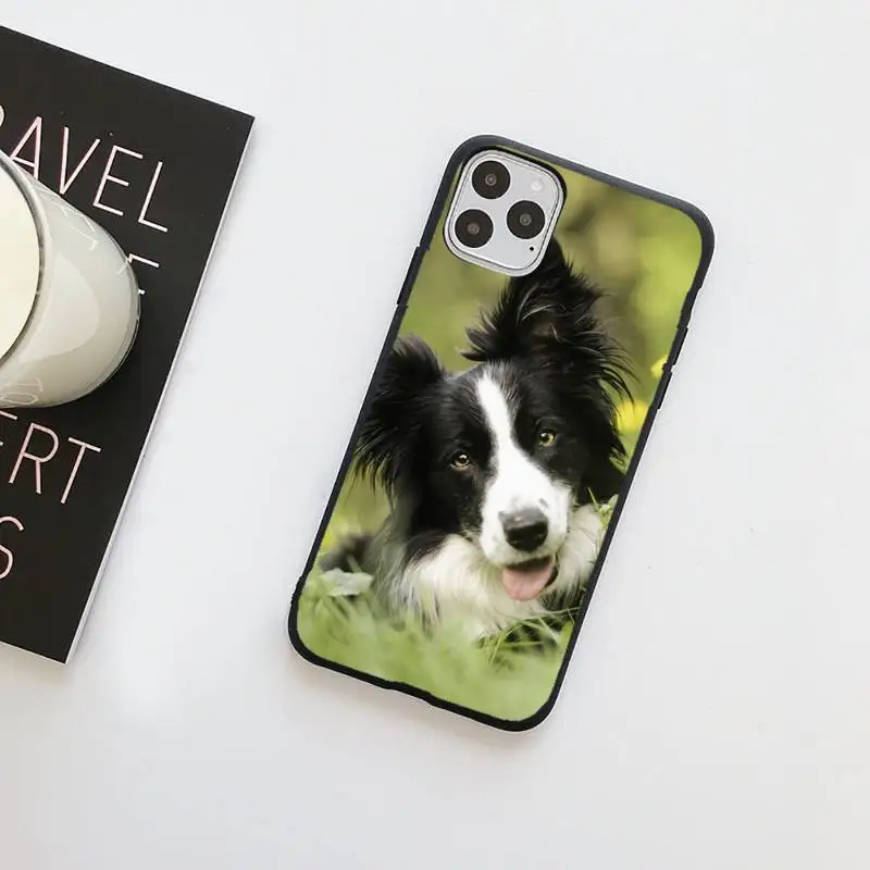 Lovely Border collie dog flower Phone Case for iPhone 7 8 11 12 Pro X XS Max XR Samsung A S 10 20 50 Plus pro funda
Lovely Border collie dog flower Phone Case for iPhone 7 8 11 12 Pro X XS Max XR Samsung A S 10 20 50 Plus pro funda