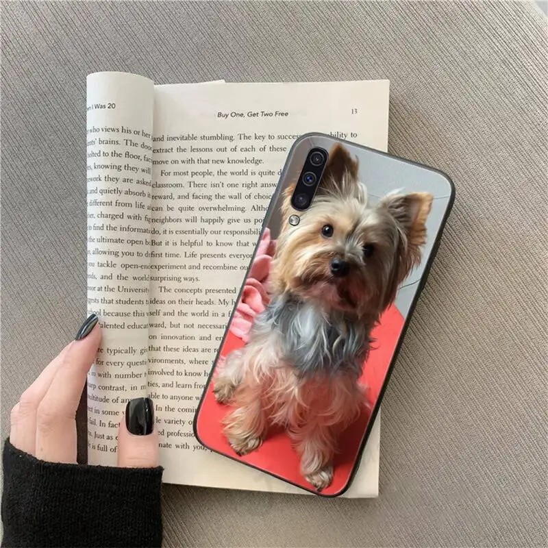 Howls Moving Castle terrazzo seamless Phone Case For Samsung Galaxy note S 10 20 21 e plus A 50 71 31 40 51 52 j4 2018
Howls Moving Castle terrazzo seamless Phone Case For Samsung Galaxy note S 10 20 21 e plus A 50 71 31 40 51 52 j4 2018