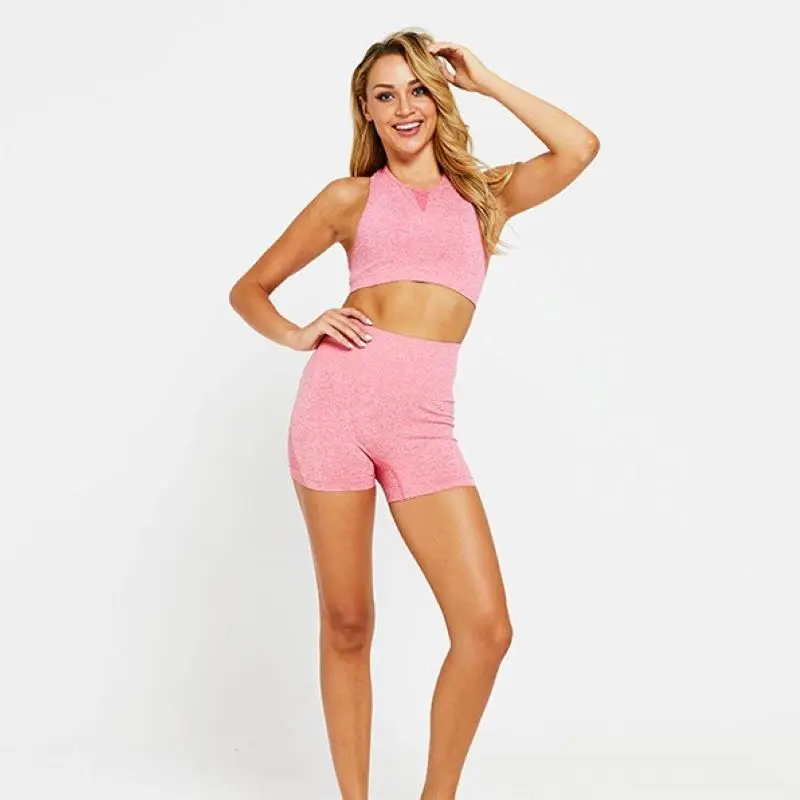 2 Piece Set Women Summer Crop Top Sport Vest Bra Sports Bras + Fitness Shorts Seamless Workout Clothes Yoga Set Woman Tracksuit
2 Piece Set Women Summer Crop Top Sport Vest Bra Sports Bras + Fitness Shorts Seamless Workout Clothes Yoga Set Woman Tracksuit