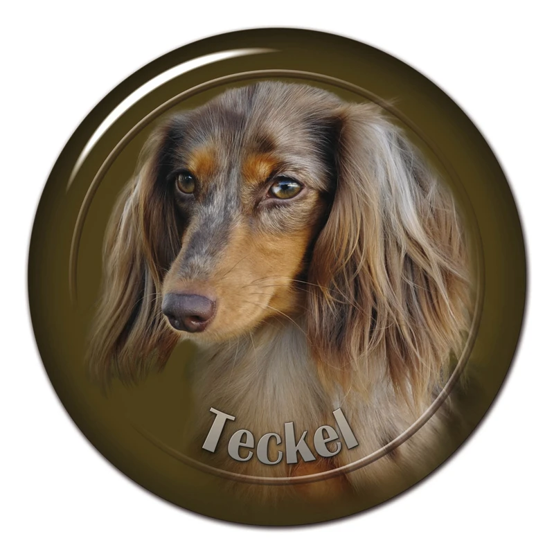A0661# Various Sizes Removable Decal Teckel Breed Dog V8 Car Sticker Waterproof on Bumper Rear Window Laptop
A0661# Various Sizes Removable Decal Teckel Breed Dog V8 Car Sticker Waterproof on Bumper Rear Window Laptop