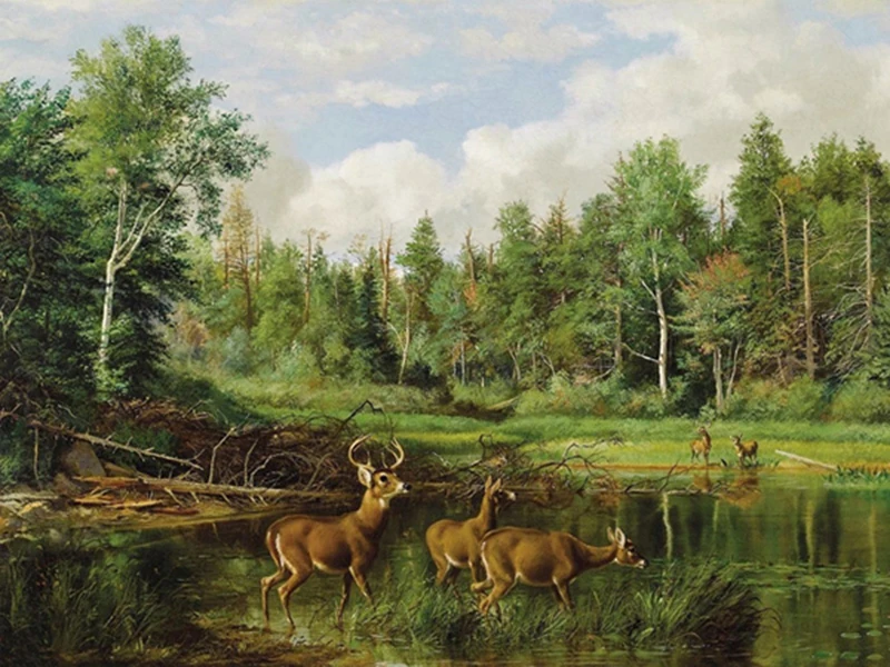 5D DIY Diamond Painting Forest Elk Full Square Round Diamond Embroidery Cross Stitch Mosaic Picture Rhinestone Home Decor Gifts
5D DIY Diamond Painting Forest Elk Full Square Round Diamond Embroidery Cross Stitch Mosaic Picture Rhinestone Home Decor Gifts