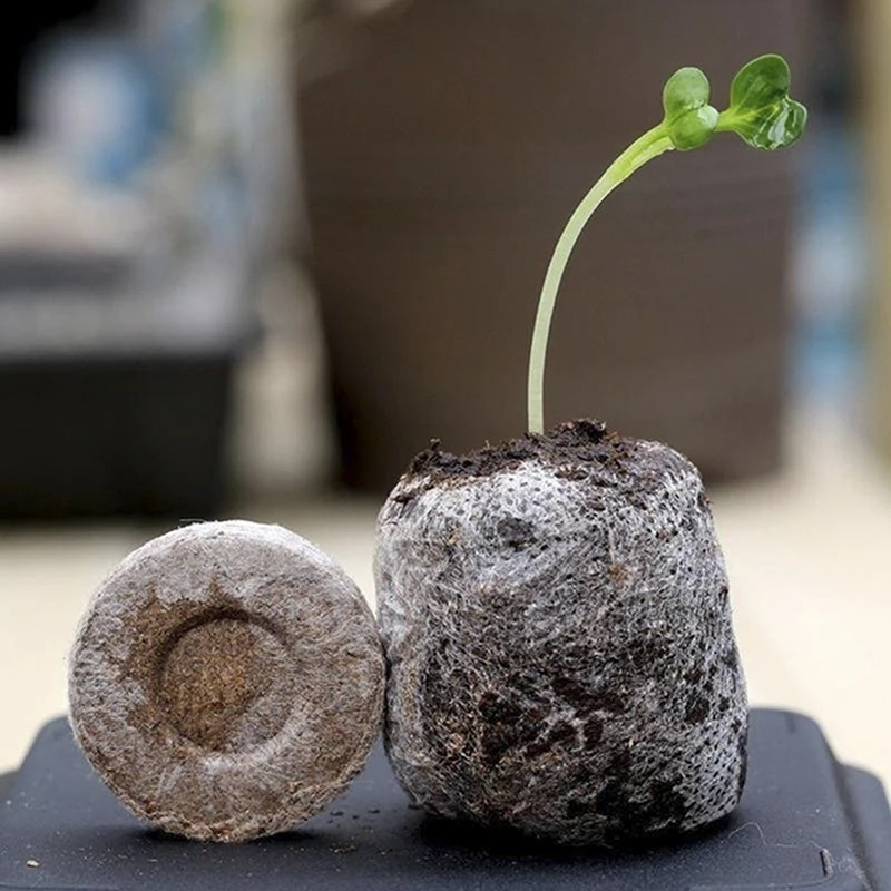 20pcs 30mm Peat Pellets Seed Starting Plugs Starter Pallet Nutrient Substance Medium Seedling Flower Planting Soil Block
20pcs 30mm Peat Pellets Seed Starting Plugs Starter Pallet Nutrient Substance Medium Seedling Flower Planting Soil Block