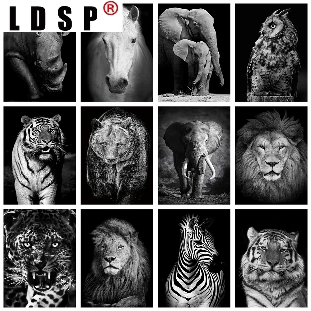 Алмазная живопись LDSP, черно-белая 5D полноразмерная Алмазная вышивка «сделай сам», животные, вышивка крестиком, мозаика Стразы, домашний дек...
Алмазная живопись LDSP, черно-белая 5D полноразмерная Алмазная вышивка «сделай сам», животные, вышивка крестиком, мозаика Стразы, домашний дек...