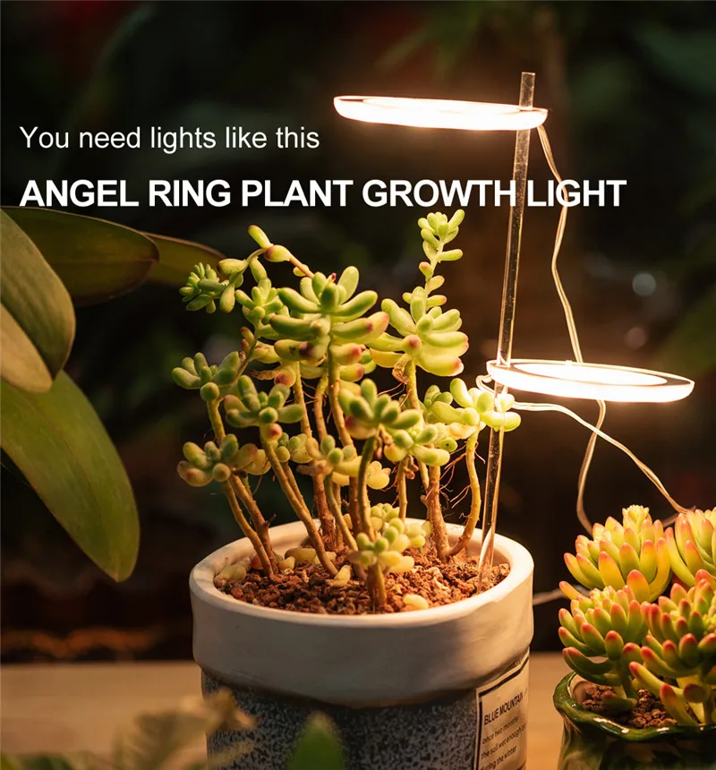 LED Grow Light Full Spectrum Phyto Grow Lamp USB Phytolamp For Plants 5V Lamp For Plants Growth Lighting For Indoor Plant
LED Grow Light Full Spectrum Phyto Grow Lamp USB Phytolamp For Plants 5V Lamp For Plants Growth Lighting For Indoor Plant