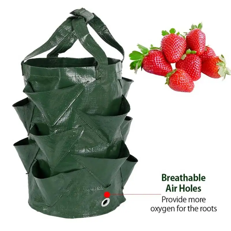 Strawberry Grow Container Bag DIY Planter PE Fabrics Planting Vegetable Gardening Thicken Pot Planting Grow Bag Garden Tool
Strawberry Grow Container Bag DIY Planter PE Fabrics Planting Vegetable Gardening Thicken Pot Planting Grow Bag Garden Tool