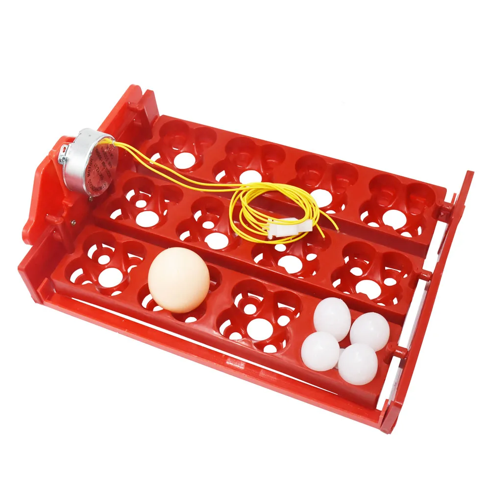 12 Eggs/48 Birds Eggs Incubator Turn Eggs Tray 220V / 110V / 12V Motor Chicken Bird Hatching Equipment DIY Incubator Accessories 
12 Eggs/48 Birds Eggs Incubator Turn Eggs Tray 220V / 110V / 12V Motor Chicken Bird Hatching Equipment DIY Incubator Accessories