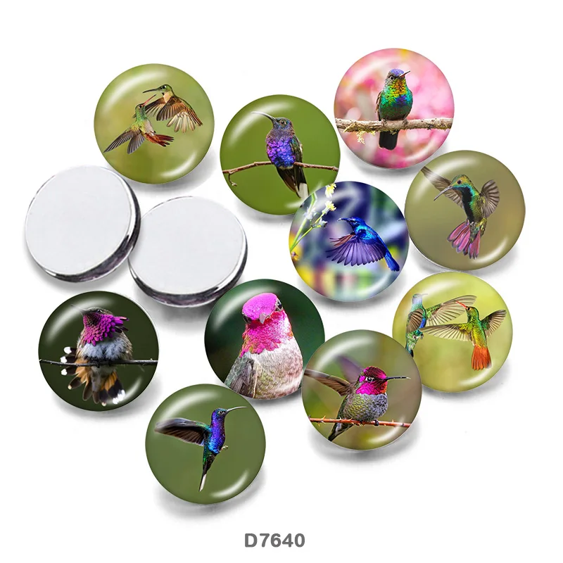 bird Flower 10pcs/lot 12mm/18mm/20mm/25mm/30mm Round photo glass cabochons flat back Making findings MC021
bird Flower 10pcs/lot 12mm/18mm/20mm/25mm/30mm Round photo glass cabochons flat back Making findings MC021