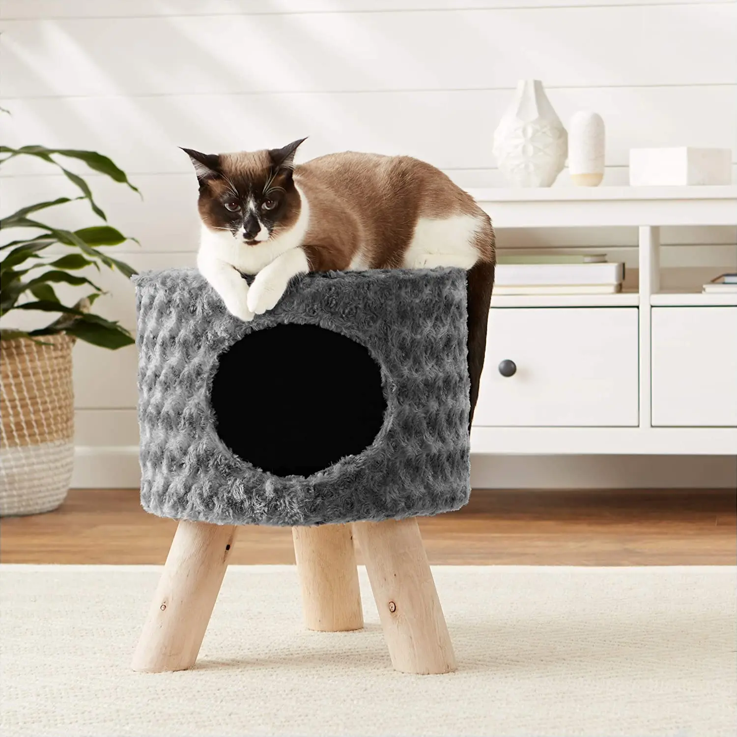 Basics Indoor Cat Bed Apartment
Basics Indoor Cat Bed Apartment