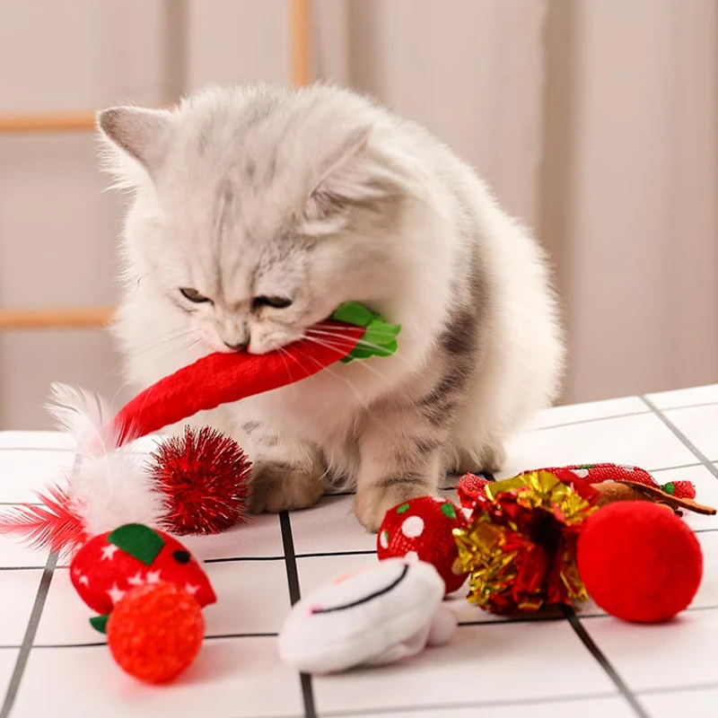 Cat Toys Christmas Stocking Cat Gifts Set, Cat Toys for Indoor Cats Cat Interactive Toys for Kitten and Cats
Cat Toys Christmas Stocking Cat Gifts Set, Cat Toys for Indoor Cats Cat Interactive Toys for Kitten and Cats