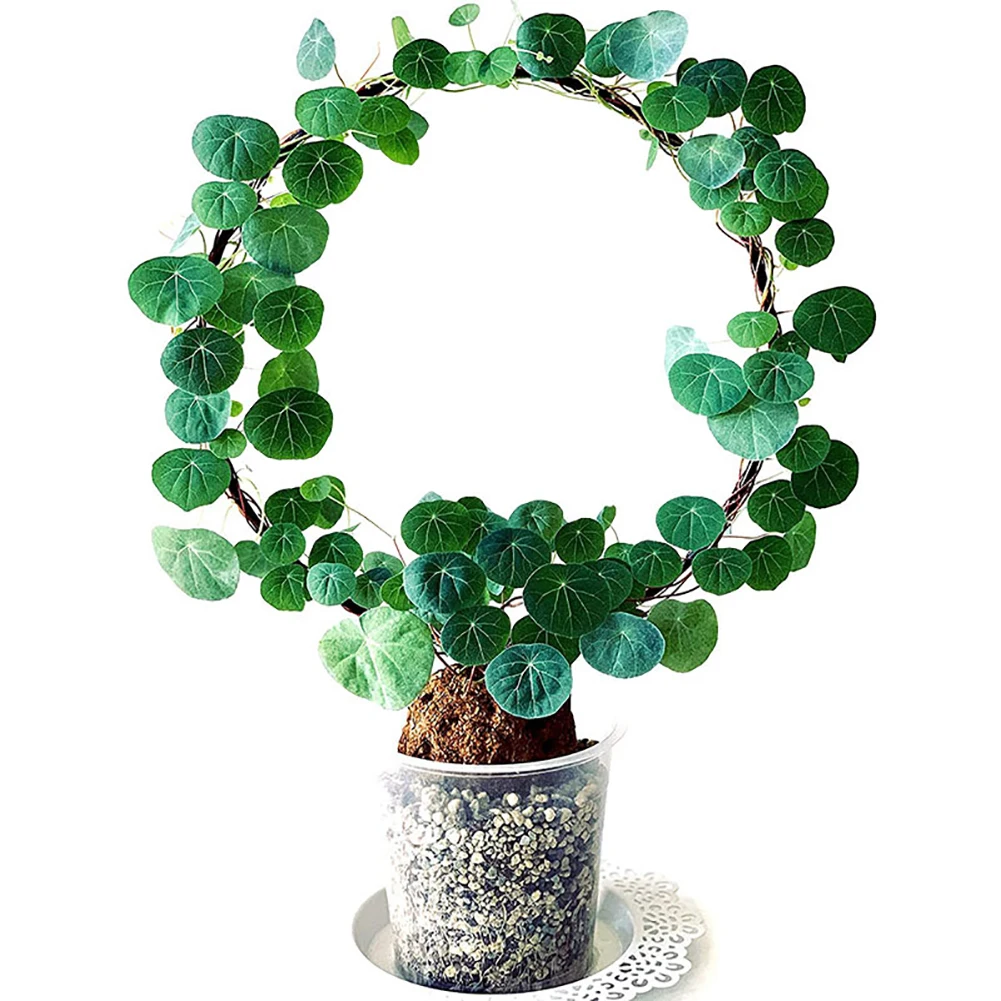 Black Metal Garden Lattice Round Heart-shaped Plant Vine Climbing Support Frame For Climbing Plant Garden Decoration
Black Metal Garden Lattice Round Heart-shaped Plant Vine Climbing Support Frame For Climbing Plant Garden Decoration