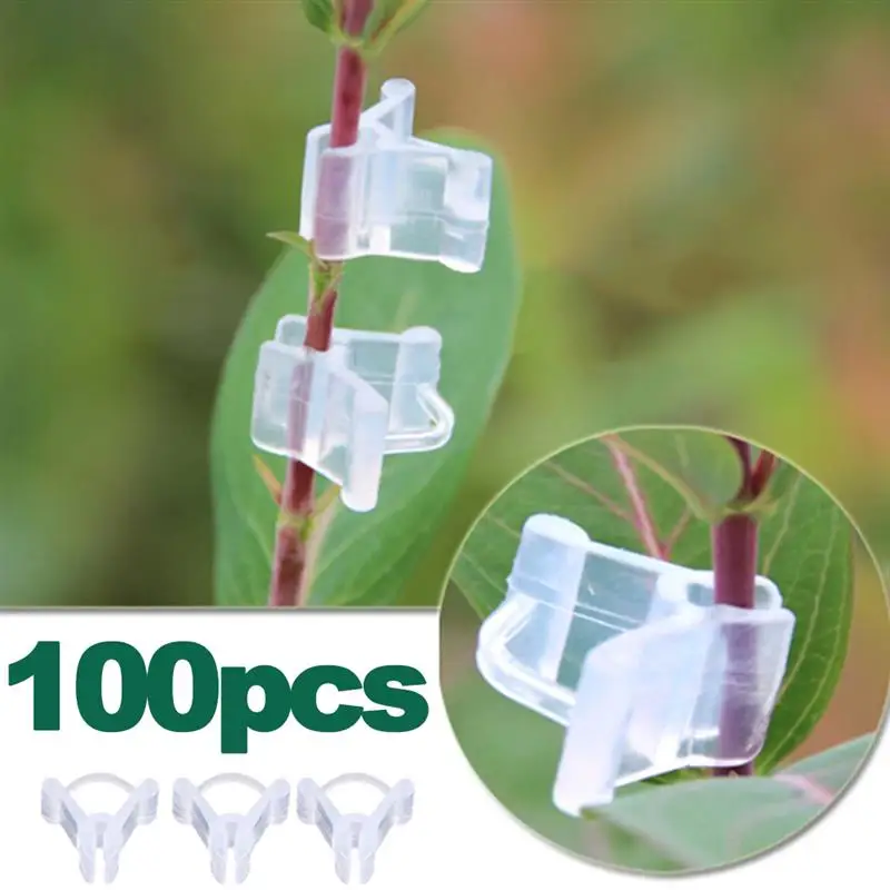 100Pcs/Set Plants Grafting Clips Garden Vine Grafting Clip Gardening Tools PE Material is Light Durable and Portable
100Pcs/Set Plants Grafting Clips Garden Vine Grafting Clip Gardening Tools PE Material is Light Durable and Portable