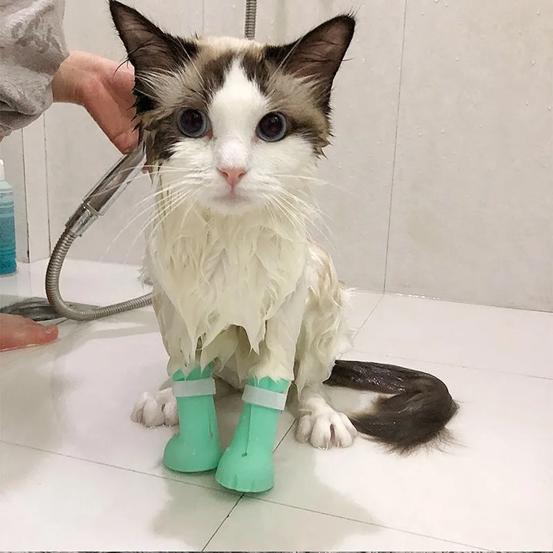 Cat Shoes Cat Gloves Prevent Scratches Use When Taking A Bath Cat Claw Cover Dog Nail Cover Cat Bathing Cat Beauty Supplies
Cat Shoes Cat Gloves Prevent Scratches Use When Taking A Bath Cat Claw Cover Dog Nail Cover Cat Bathing Cat Beauty Supplies