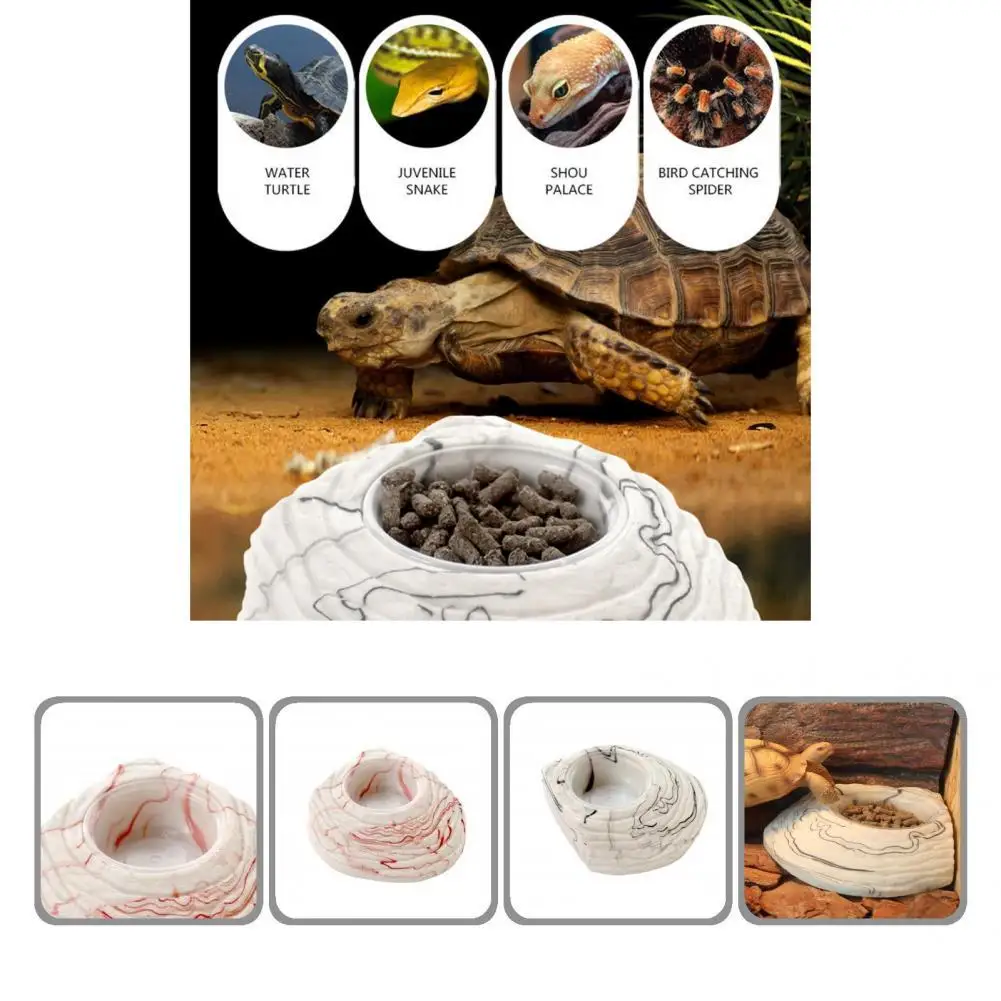 Sturdy Structure Popular Eco-Friendly Turtle Basking Platform Smooth Surface for Tortoise Chameleon Lizard
Sturdy Structure Popular Eco-Friendly Turtle Basking Platform Smooth Surface for Tortoise Chameleon Lizard
