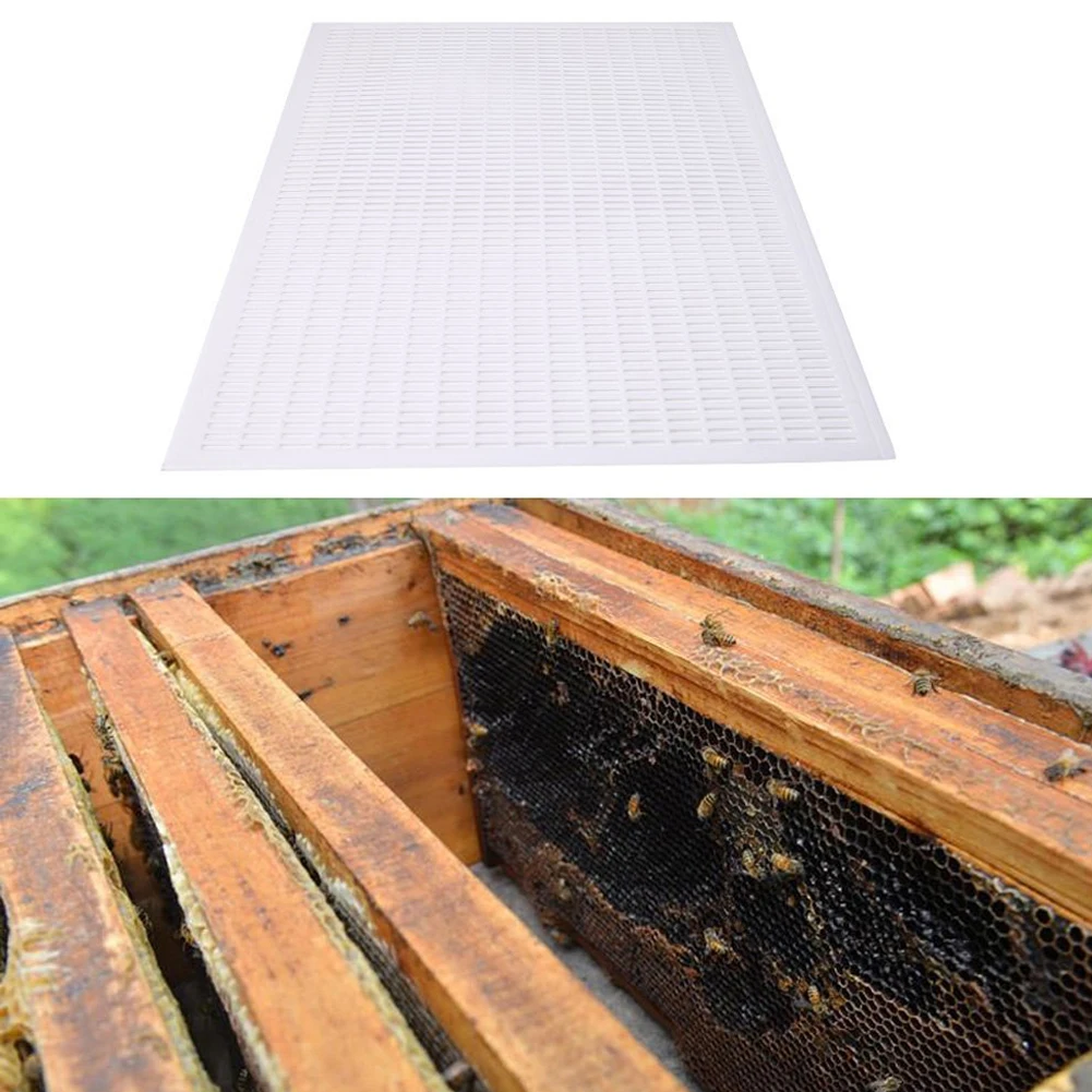 Beekeeping Beekeeper Queen Bee Excluder Catch Basket With Net Separate Plastic Tool Kit King Board Royal Board for Apicultura
Beekeeping Beekeeper Queen Bee Excluder Catch Basket With Net Separate Plastic Tool Kit King Board Royal Board for Apicultura