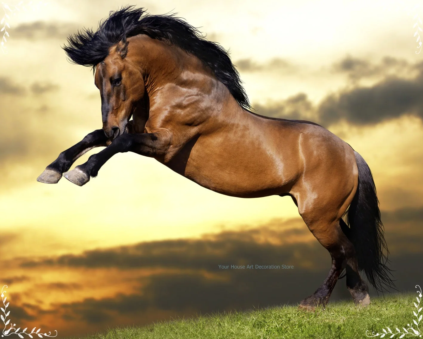 Hot Sale 5D Full Square/round Diamond Painting Horse Diy Cross Stitch Embroidery Diamond Art Picture of Rhinestones Home Decor
Hot Sale 5D Full Square/round Diamond Painting Horse Diy Cross Stitch Embroidery Diamond Art Picture of Rhinestones Home Decor