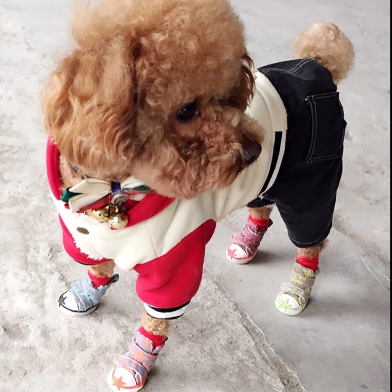 4pcs Winter Pet Dog Anti-slip Shoes Breathable Warm Booties Outdoor Casual Canvas Shoes for Teddy Small Middle Dogs
4pcs Winter Pet Dog Anti-slip Shoes Breathable Warm Booties Outdoor Casual Canvas Shoes for Teddy Small Middle Dogs