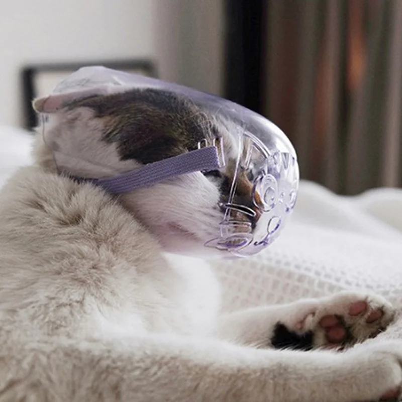 Breathable Cat Dog Muzzle Break Pet Mouth Mask For Kitten Puppy Pet Mask Keep The Mouth Cover Transparent Muzzle
Breathable Cat Dog Muzzle Break Pet Mouth Mask For Kitten Puppy Pet Mask Keep The Mouth Cover Transparent Muzzle
