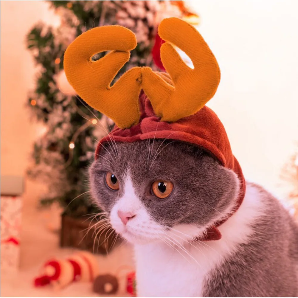 Christmas Cat Costumes Funny Santa Claus Clothes For Cats Dogs Xmas New Year Pet Cat Clothing Winter Kitten For Puppy Accessory
Christmas Cat Costumes Funny Santa Claus Clothes For Cats Dogs Xmas New Year Pet Cat Clothing Winter Kitten For Puppy Accessory