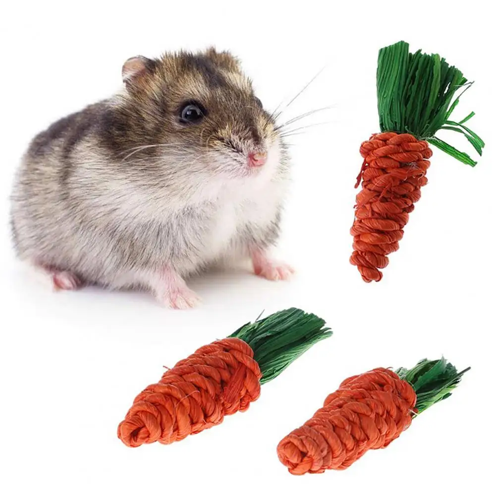 3Pcs Rabbit Chew Toys Carrot Shape Teeth Cleaner Bite Resistant Bunny Molar Toys for Small Animals Pet
3Pcs Rabbit Chew Toys Carrot Shape Teeth Cleaner Bite Resistant Bunny Molar Toys for Small Animals Pet
