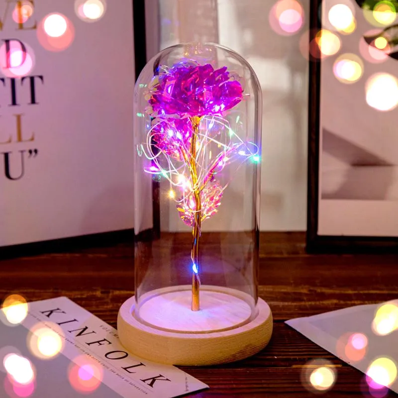 LED Night Lamp Enchanted Galaxy Rose Eternal 24K Gold Foil Flower Fairy String Lights For Girls Birthday Valentine's Day Gift
LED Night Lamp Enchanted Galaxy Rose Eternal 24K Gold Foil Flower Fairy String Lights For Girls Birthday Valentine's Day Gift