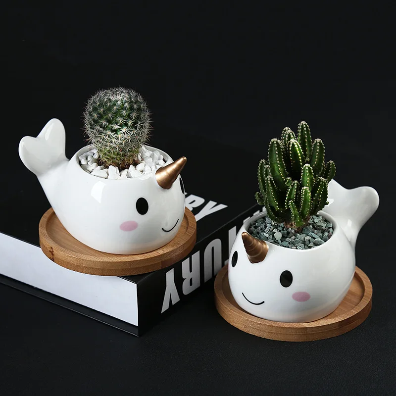 Ceramic Pot Cute Dolphin Succulent Planter Desktop Plant Pot Decoration Ceramic Succulent Pot Home Decoration
Ceramic Pot Cute Dolphin Succulent Planter Desktop Plant Pot Decoration Ceramic Succulent Pot Home Decoration