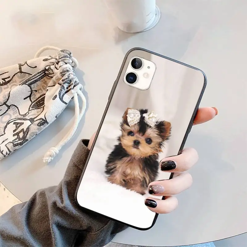 Yorkshire terrier dog Phone Case for iPhone 11 12 mini pro XS MAX 8 7 6 6S Plus X 5S SE 2020 XR 
Yorkshire terrier dog Phone Case for iPhone 11 12 mini pro XS MAX 8 7 6 6S Plus X 5S SE 2020 XR