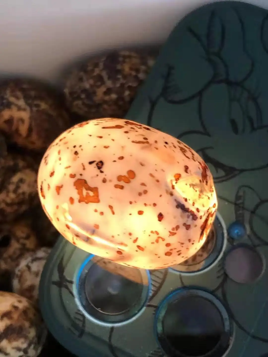 Natural stones white agate beads Quail Egg Mottled Epidermis Weathered Ornamental Taste Rough Stone for Men's bracelet pendant
Natural stones white agate beads Quail Egg Mottled Epidermis Weathered Ornamental Taste Rough Stone for Men's bracelet pendant