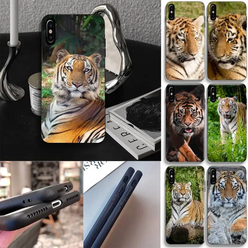 Tiger Phone Case Fundas Shell Cover For Iphone 6 6s 7 8 Plus Xr X Xs 11 12 13 Mini Pro Max Phone Case
Tiger Phone Case Fundas Shell Cover For Iphone 6 6s 7 8 Plus Xr X Xs 11 12 13 Mini Pro Max Phone Case