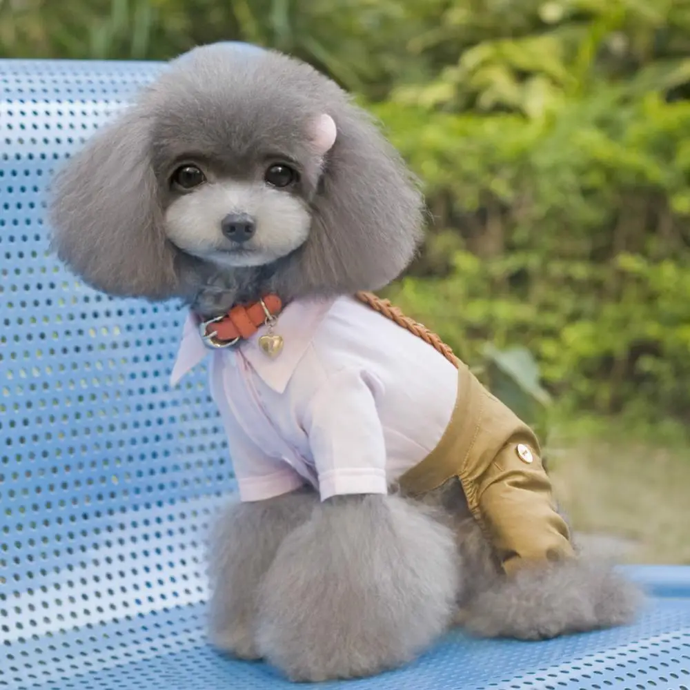 Warm Pet Dog Polyester Clothes Cute Solid Color Pet Coat Puppy Dog Shirt Jacket French Bulldog Pullover Camouflage Dog Clothing
Warm Pet Dog Polyester Clothes Cute Solid Color Pet Coat Puppy Dog Shirt Jacket French Bulldog Pullover Camouflage Dog Clothing