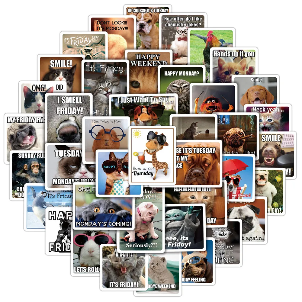 50pcs Funny Cat Dog Animal Stickers Happy Weekend Quotes Stickes for Laptop Suitcase Car Waterproof Graffiti Decals Adults
50pcs Funny Cat Dog Animal Stickers Happy Weekend Quotes Stickes for Laptop Suitcase Car Waterproof Graffiti Decals Adults