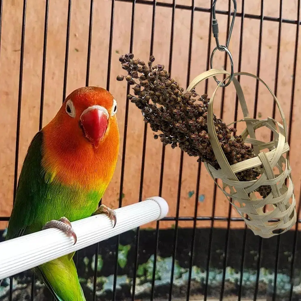 2020 Bird Food Holder Bird Food Hanging Basket Parrots Foraging Chew Toy Natural Parakeet Treat Feeder Perfect Bird Food Hanger
2020 Bird Food Holder Bird Food Hanging Basket Parrots Foraging Chew Toy Natural Parakeet Treat Feeder Perfect Bird Food Hanger