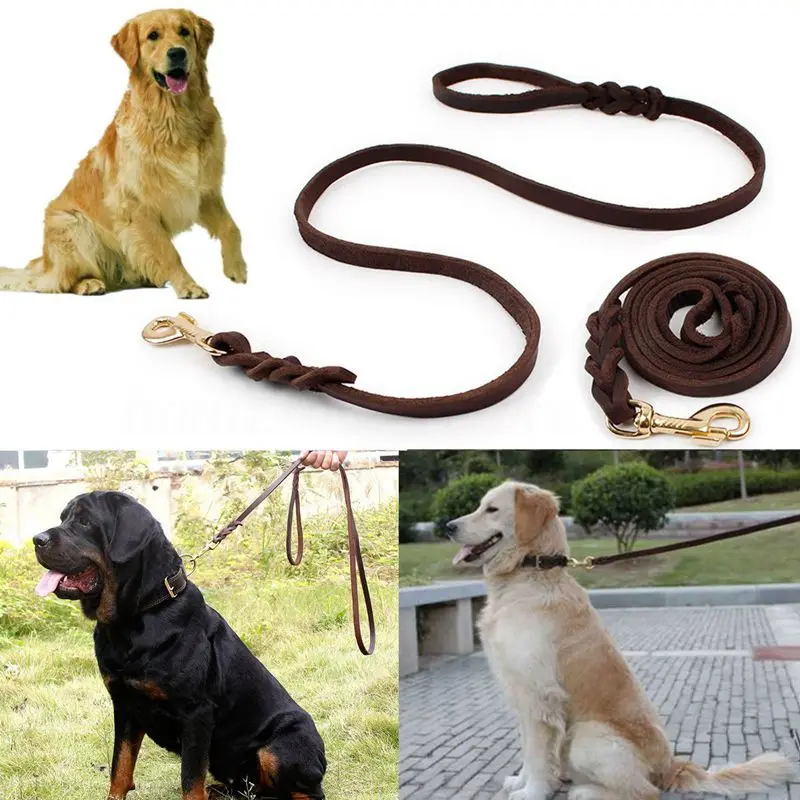 2M Long Leather Braided Pet Dog Walk Traction Collar Strap Training Leash Lead 
2M Long Leather Braided Pet Dog Walk Traction Collar Strap Training Leash Lead