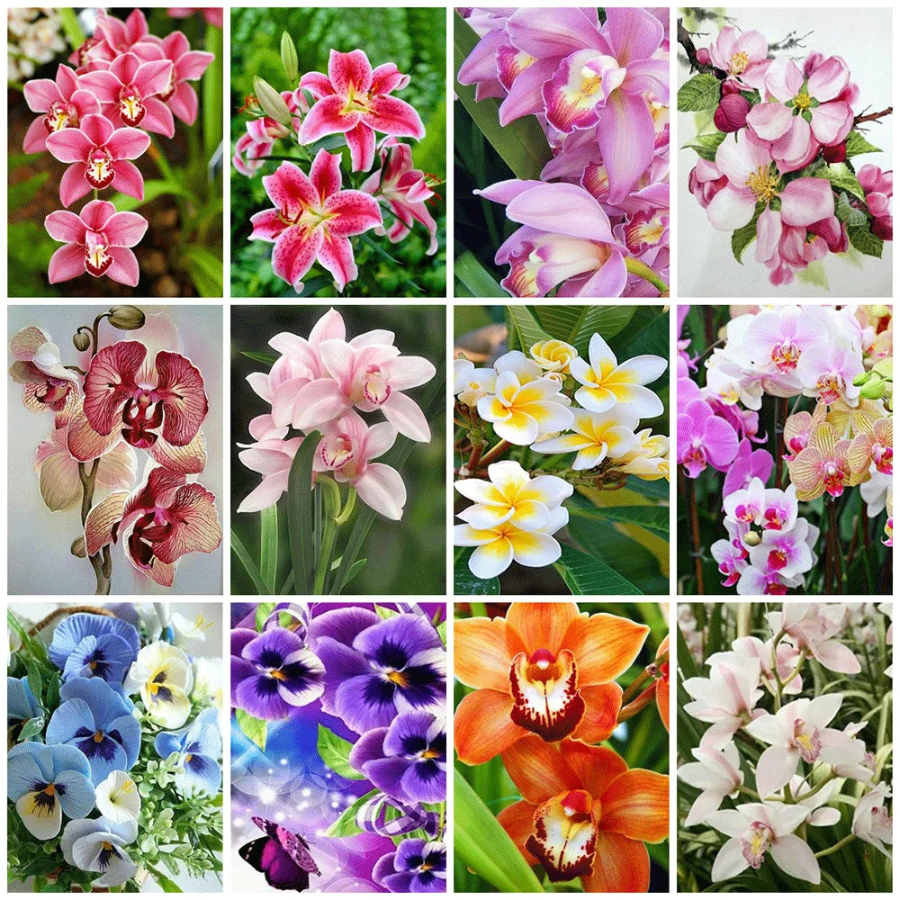 HUACAN Diamond Painting Orchid 5D DIY Diamond Embroidery Flower Mosaic Rhinestones Picture Decoration For Home
HUACAN Diamond Painting Orchid 5D DIY Diamond Embroidery Flower Mosaic Rhinestones Picture Decoration For Home