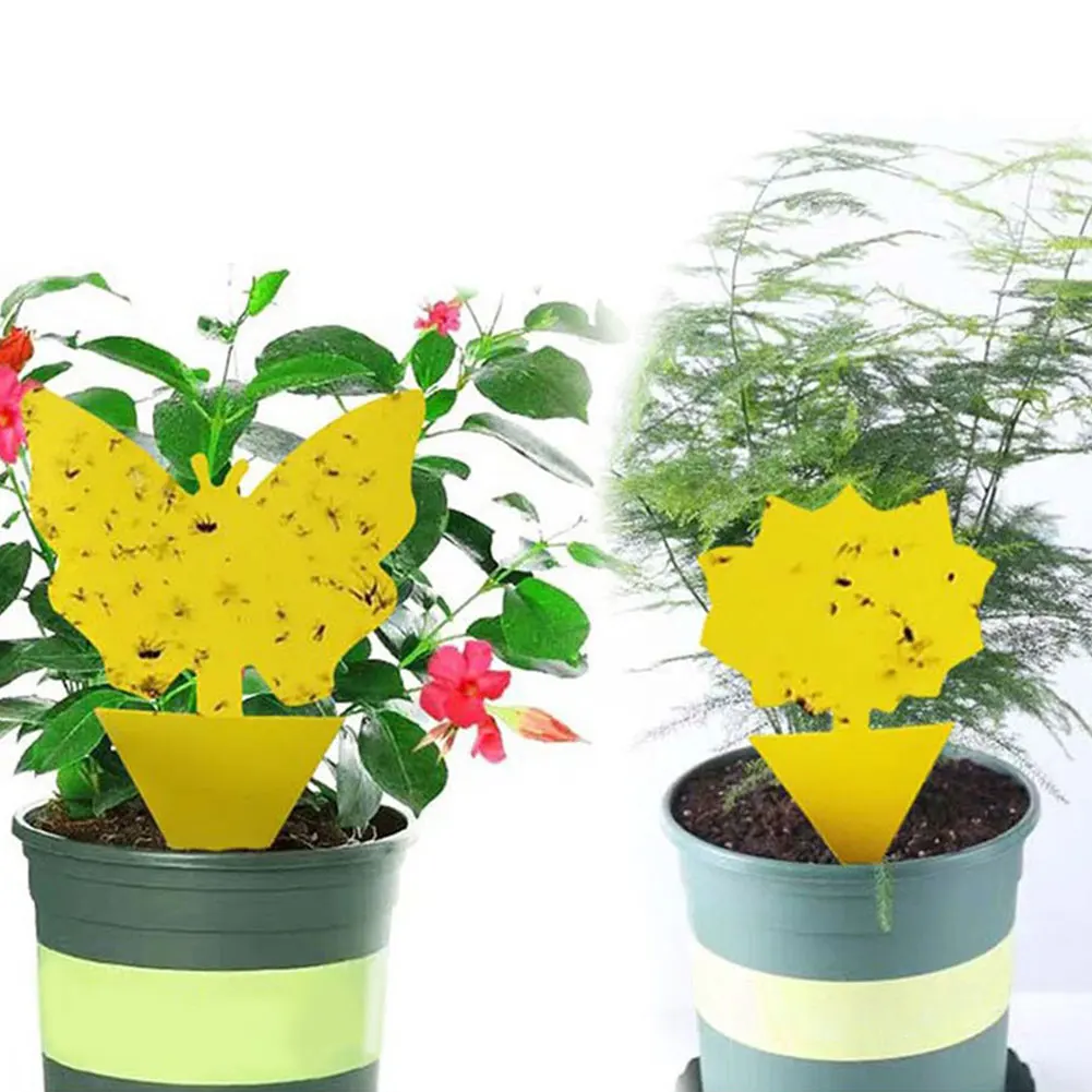 20pc Glue Trap Catcher Sticky Boards Yellow Sticky Traps Eliminate Flies Insect Bug Garden Glue Paper Board Plant Flycatchers
20pc Glue Trap Catcher Sticky Boards Yellow Sticky Traps Eliminate Flies Insect Bug Garden Glue Paper Board Plant Flycatchers