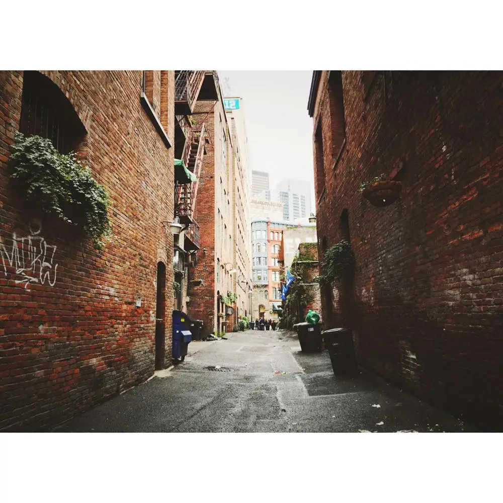 SHUOZHIKE Vinyl Custom Photography Backdrops Buliding Photography Background SS20721-03
SHUOZHIKE Vinyl Custom Photography Backdrops Buliding Photography Background SS20721-03