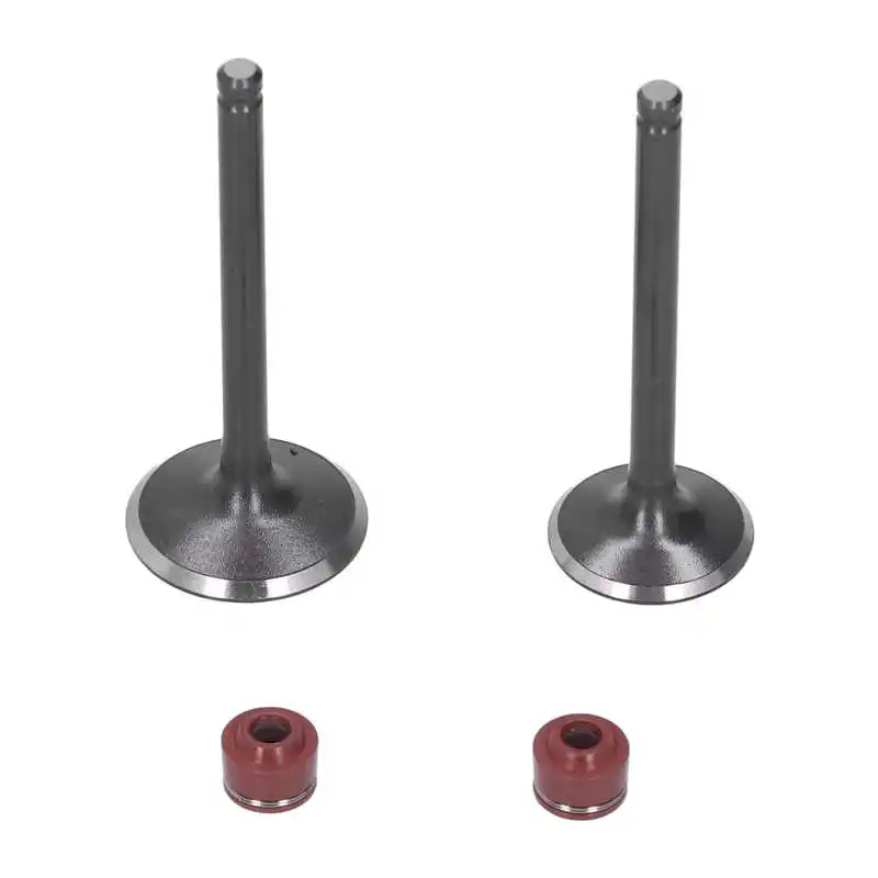 Впускной Выпускной клапан для головки двигателя, Впускной Выпускной клапан в комплекте, Впускной Выпускной клапан, замена для велосипеда-в...
Впускной Выпускной клапан для головки двигателя, Впускной Выпускной клапан в комплекте, Впускной Выпускной клапан, замена для велосипеда-в...