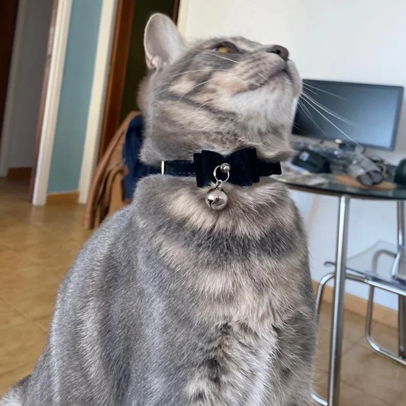 1Pc Bells Bowknot Cat Collar Pet Supplies Dog Pet Collar Puppy Bell Colorful Necktie Safe Buckle Cats Bow Tie Pets Accessories
1Pc Bells Bowknot Cat Collar Pet Supplies Dog Pet Collar Puppy Bell Colorful Necktie Safe Buckle Cats Bow Tie Pets Accessories