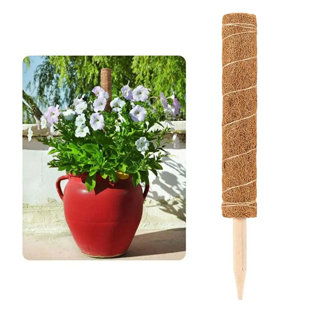 Coir Totem Pole безопасный удлинитель для поддержки растений Coir Moss Stick для подъема растений в помещении
Coir Totem Pole безопасный удлинитель для поддержки растений Coir Moss Stick для подъема растений в помещении