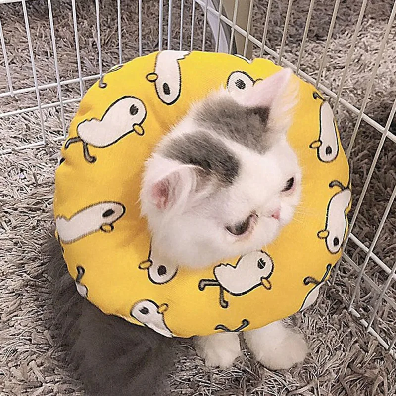 Adjustable Cat Recovery Collar Soft Cone, Used For Dog Cat Head Wound Healing Protective After Surgery Lead, For Kitten & Puppy
Adjustable Cat Recovery Collar Soft Cone, Used For Dog Cat Head Wound Healing Protective After Surgery Lead, For Kitten & Puppy