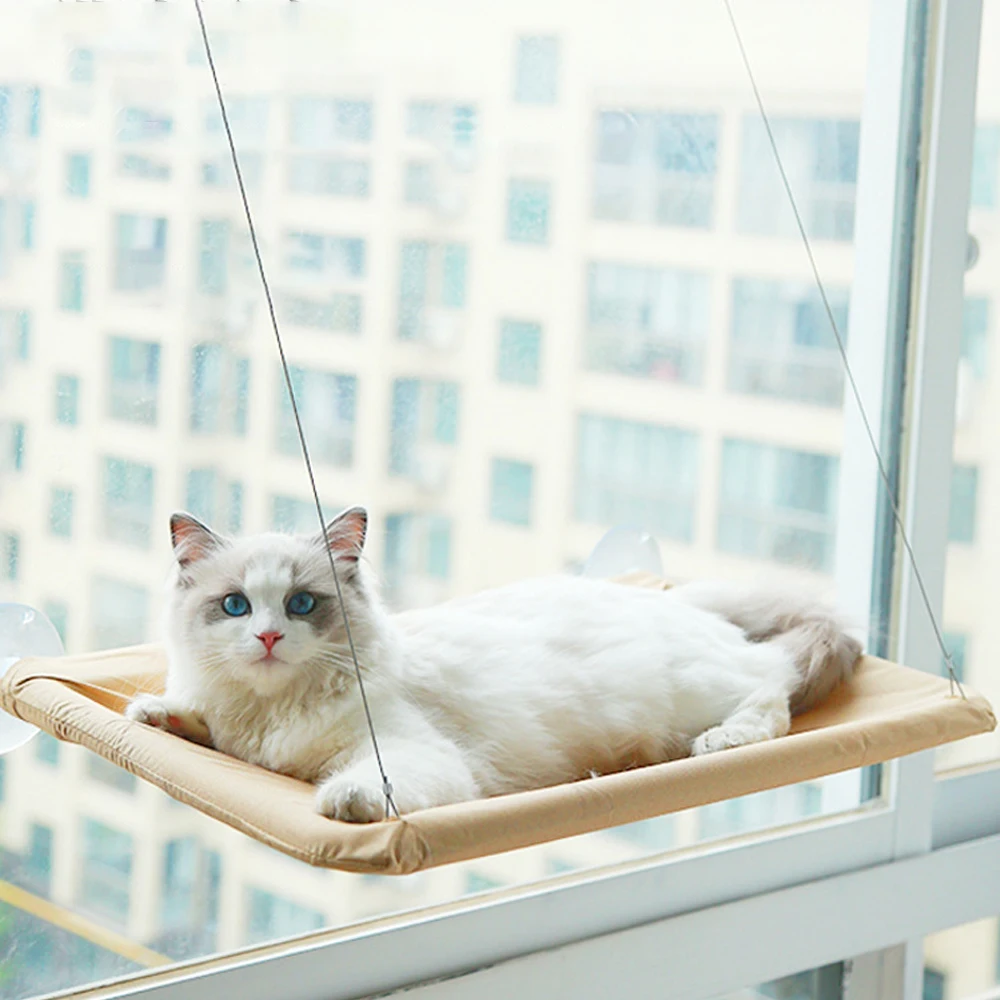 1 Set Cat Bed Cut Pet Sunny Window Perch Seat Suction Cups Hammock Resting Safety Cat Shelves Weight Up to 20KGS Indoor Sleeping
1 Set Cat Bed Cut Pet Sunny Window Perch Seat Suction Cups Hammock Resting Safety Cat Shelves Weight Up to 20KGS Indoor Sleeping