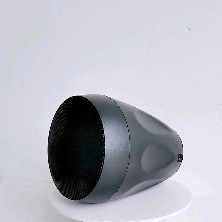 40w 6.5 inch outdoor IP66 waterproof speakers pendant speaker for home theather system
40w 6.5 inch outdoor IP66 waterproof speakers pendant speaker for home theather system
