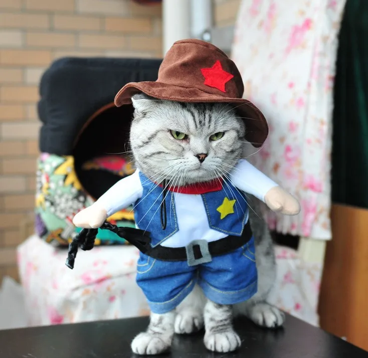 Funny Cat Dog Clothes Pet Clothing Cosplay Role Playing Suit Halloween Party Cute Comfort Costume For Dog Corsair Dressing Up
Funny Cat Dog Clothes Pet Clothing Cosplay Role Playing Suit Halloween Party Cute Comfort Costume For Dog Corsair Dressing Up