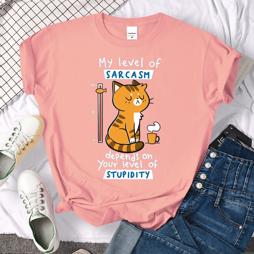 Summer New Style 3D Women's T-shirt, Tsundere Cat Drinking Tea, Oversized Fashion Women's Clothing, Witty Korean T-shirt 
Summer New Style 3D Women's T-shirt, Tsundere Cat Drinking Tea, Oversized Fashion Women's Clothing, Witty Korean T-shirt