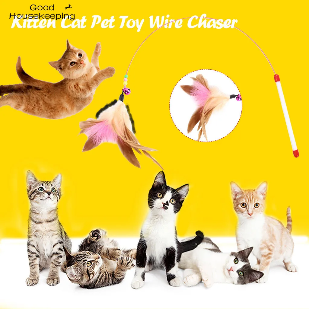 Funny Cat Feather Hanging Bell Stick Toy Wire Chaser Fun Cat Feather Dangler Bell Wand Teaser Rod Play Pet Game Toys
Funny Cat Feather Hanging Bell Stick Toy Wire Chaser Fun Cat Feather Dangler Bell Wand Teaser Rod Play Pet Game Toys