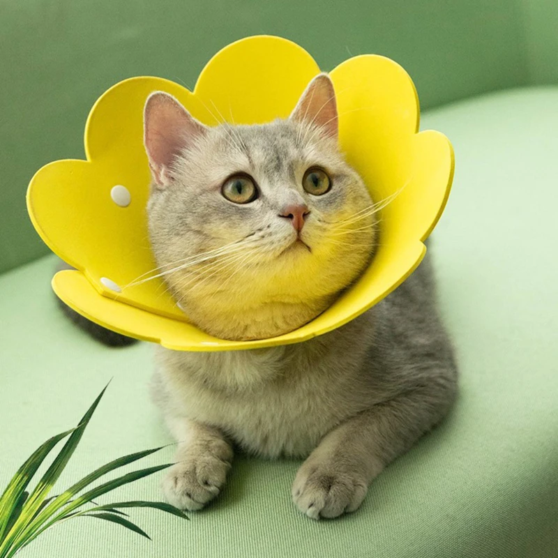 Pet Headdress Sunflower Elizabeth Circle EVA Sponge Lightweight Headgear Cat Collar Surgery Use
Pet Headdress Sunflower Elizabeth Circle EVA Sponge Lightweight Headgear Cat Collar Surgery Use