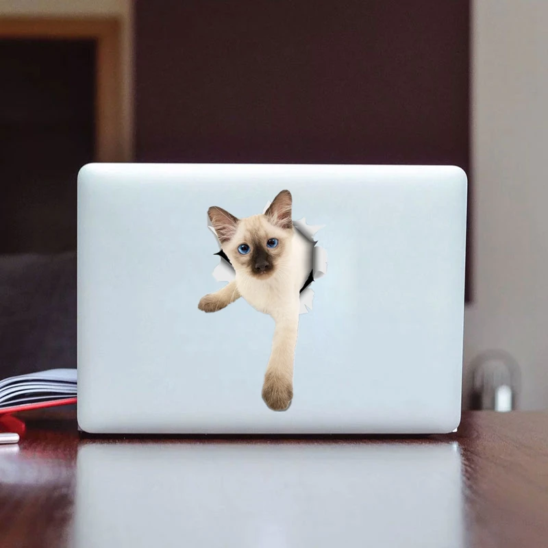 S30981# Self-adhesive Decal SIAMESE KITTEN Car Sticker Motorcycle Laptop Waterproof Auto Decors on Bumper Rear Window
S30981# Self-adhesive Decal SIAMESE KITTEN Car Sticker Motorcycle Laptop Waterproof Auto Decors on Bumper Rear Window