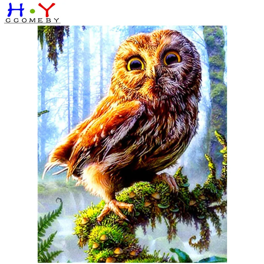 5D Diamond Mosaic Owl Needlework DIY Full Sets Diamond Embroidery Animal Picture Of Rhinestones Home Decor
5D Diamond Mosaic Owl Needlework DIY Full Sets Diamond Embroidery Animal Picture Of Rhinestones Home Decor